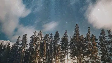 Danbi - You shine in the wind and sunlight
