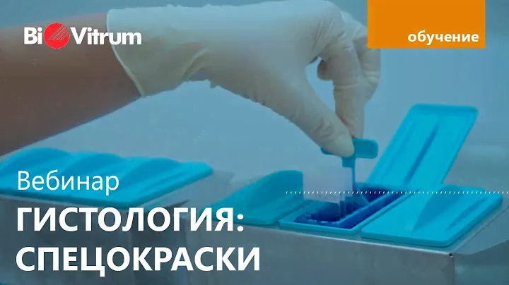 Вебинар по спецокраскам в гистологии