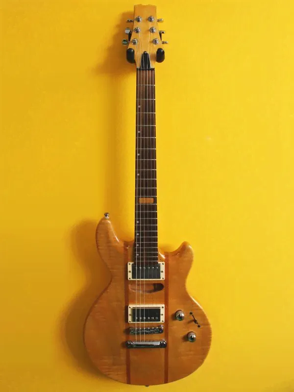 Shine Double Cut Guitar-0
