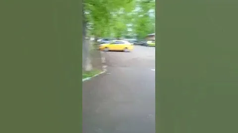 Утренние гости на Кунцевской улице 🦆