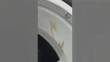 Как же бесит этот битум 😖 #детейлинг #антибитум